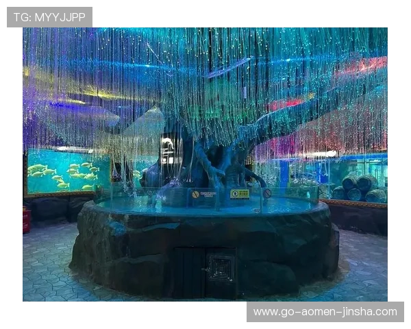 回力海立方全新上线带你体验极致的虚拟世界探索与互动乐趣