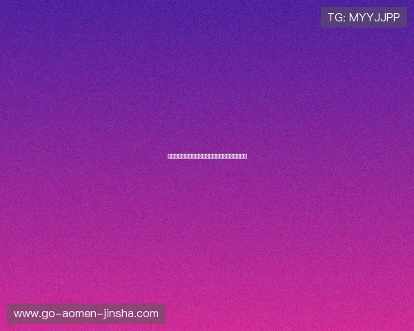 探索金沙国际的运营模式和背后技术支持的全面分析